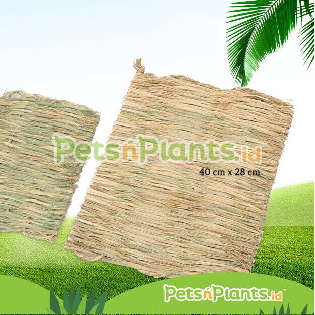 Timothy Hay Mat Large - Rumput Alas Kandang Kelinci Guinea Pig Besar