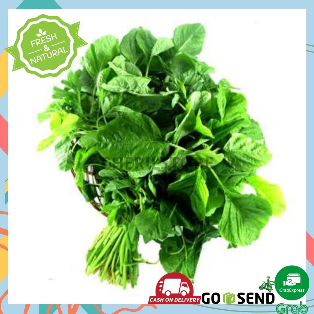

SAYUR BAYAM SAYURAN SEGAR FRESH