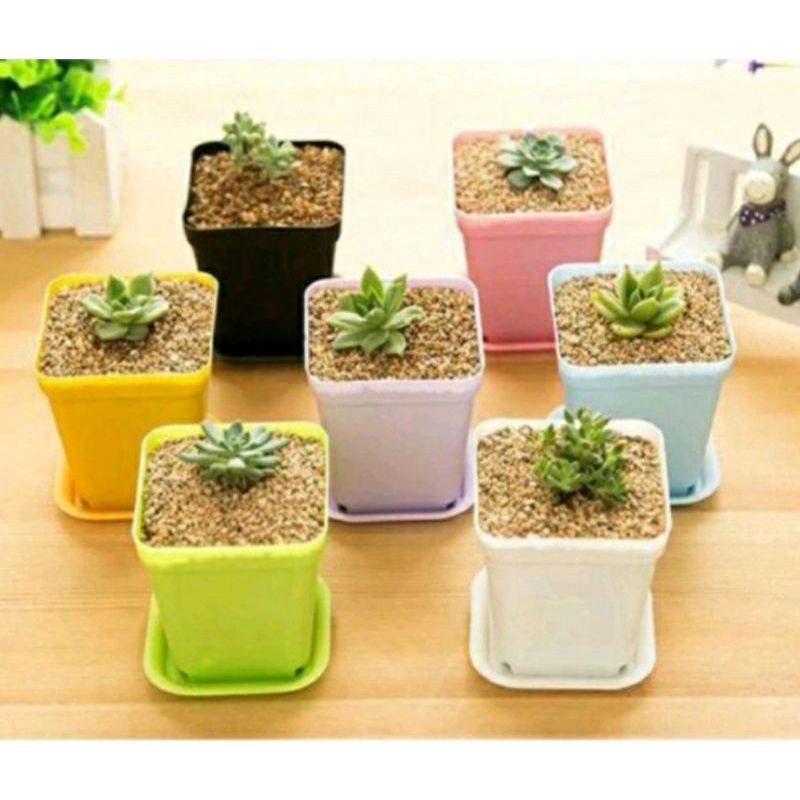 Pot Plastik Mini /Pot Plus Tatakan air /Pot Hias Vas Plastik Serbaguna /Pot Bibit Tanaman Hias