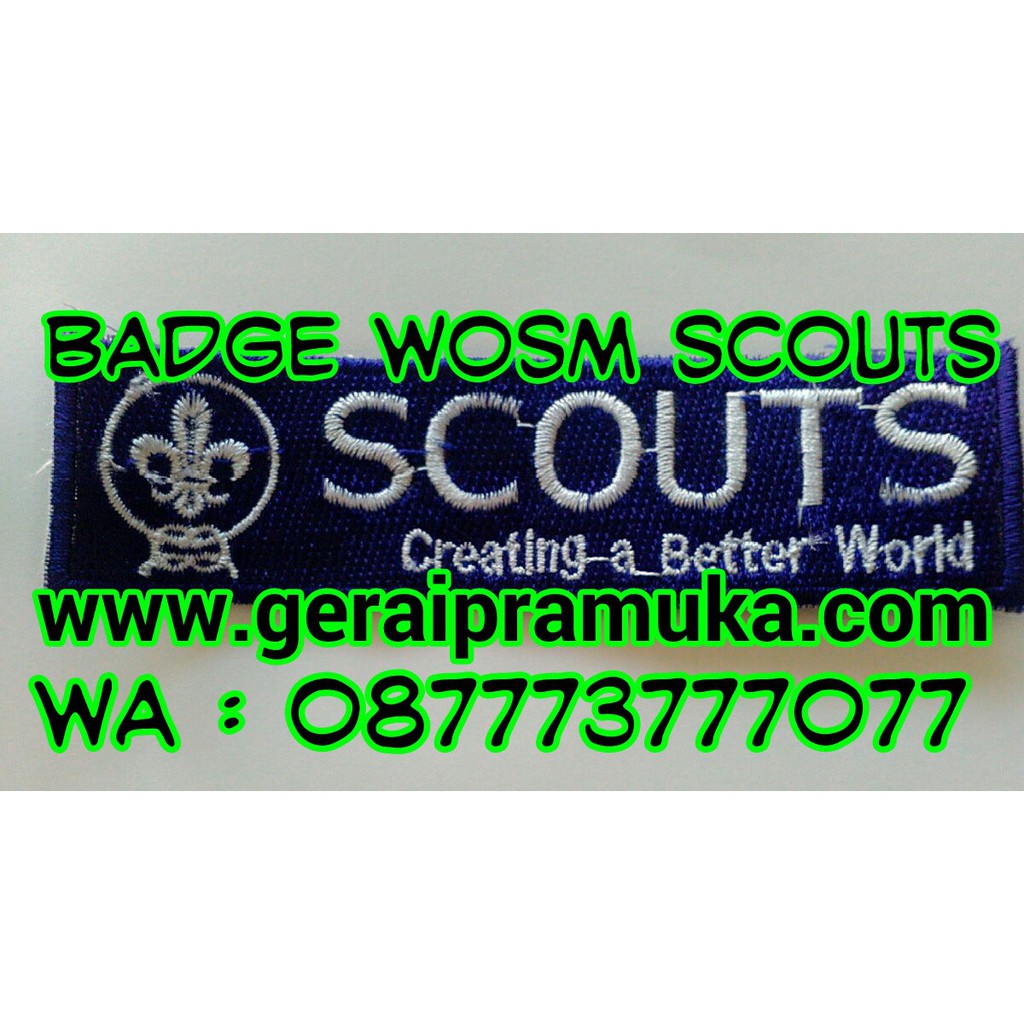 badge Wosm Scout