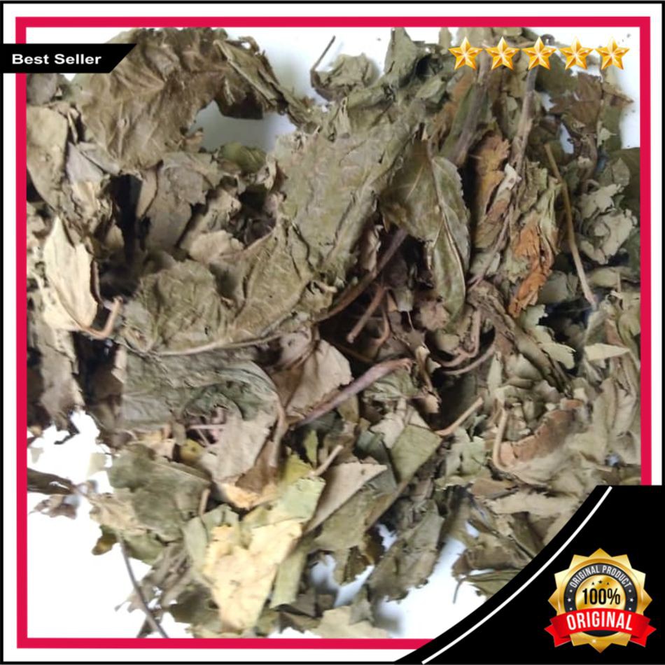 

COD Daun Jati Belanda Kering 1kg