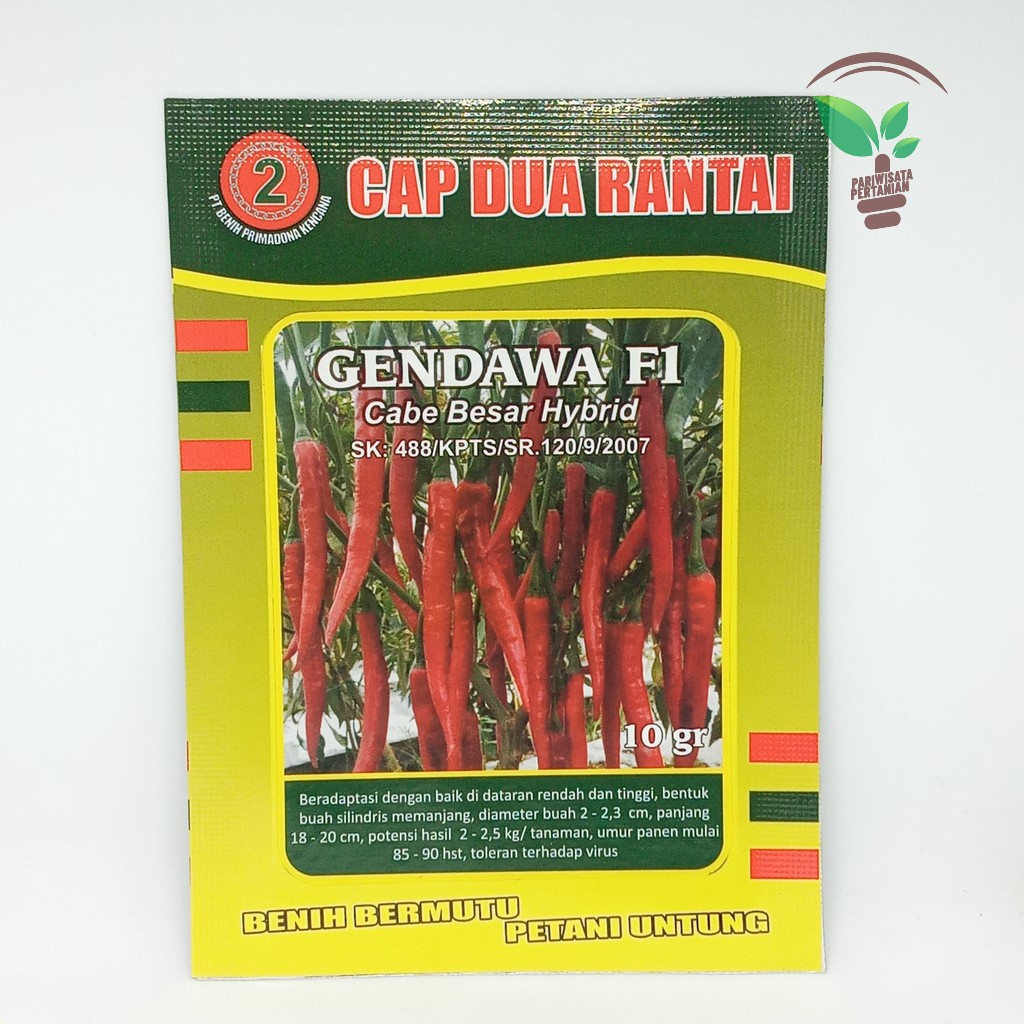 BIBIT BENIH CABAI CABE LOMBOK BESAR GANDAWA F1 LEBAT UNGGULAN