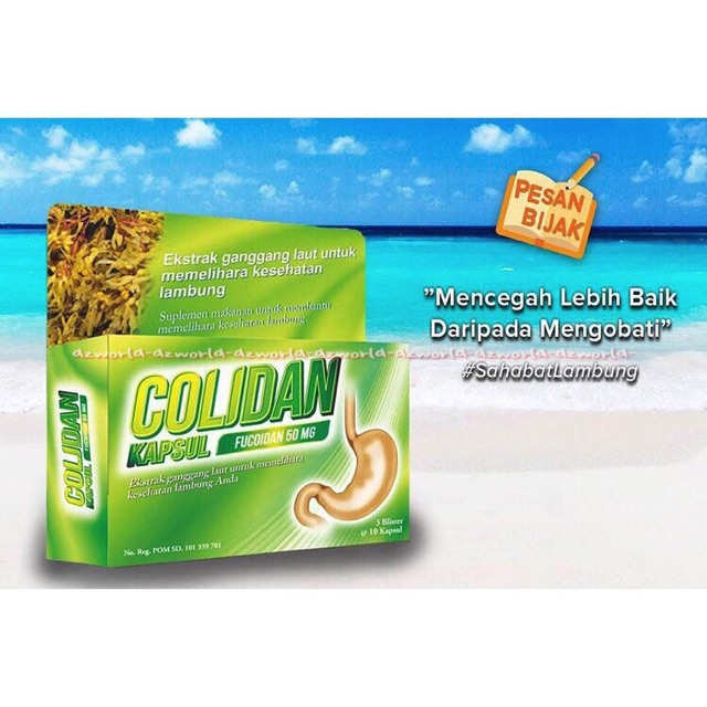 Colidan Hijau Fucoidan 50mg Obat Mag Lambung Green Isi 30Kapsul