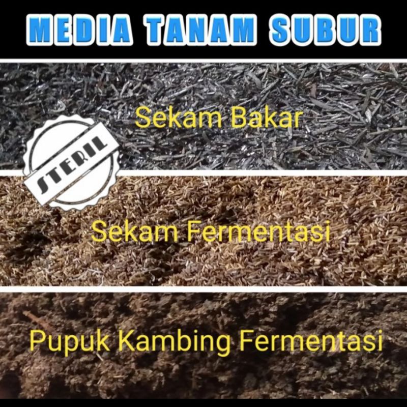 Media Tanam Subur Sekam Bakar Sekam Fermentasi Pupuk Fermentasi
