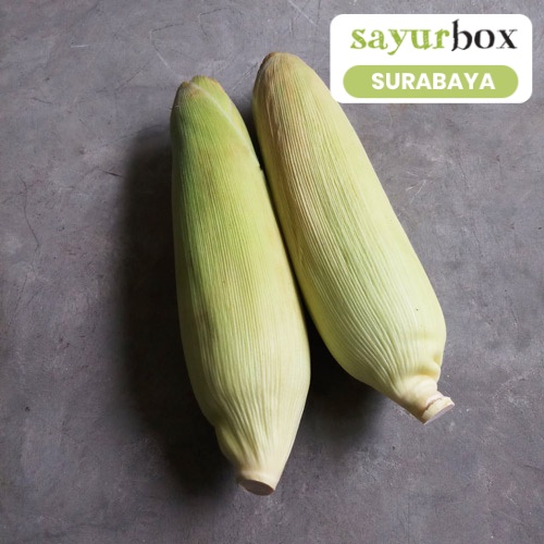 

Jagung Manis Kulit Conventional 3 kg (Sayurbox) - SURABAYA