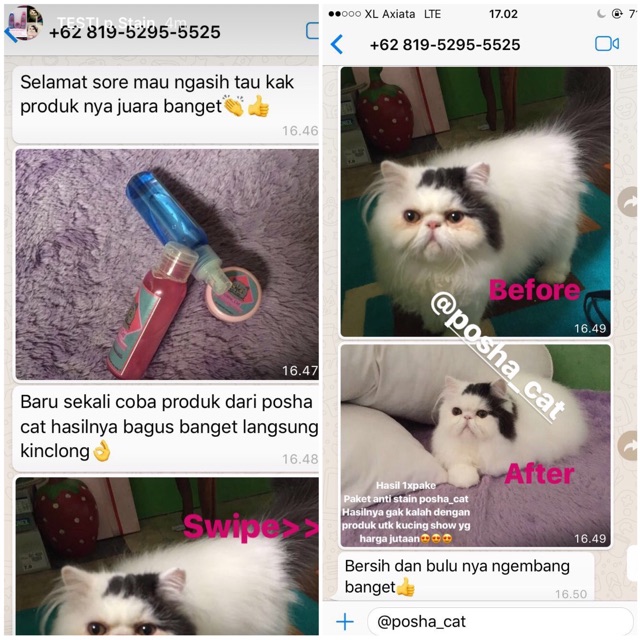 Paket Anti stain (noda) posha_cat | isi 3 produk | skincare kucing