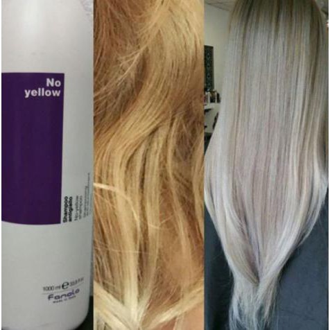 shampoo FANOLA SILVER SHAMPOO SHARE 50ML