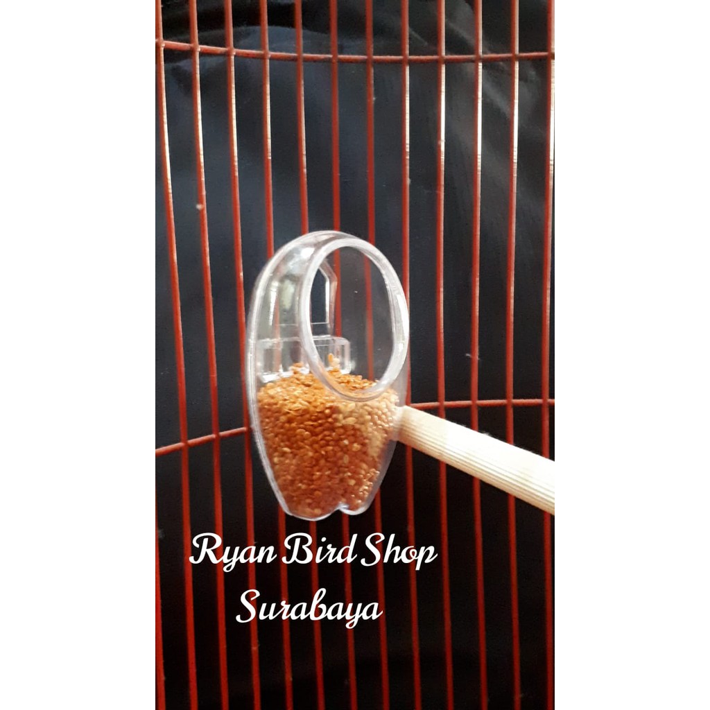 CEPUK FULL OVAL TEMPAT MAKAN DAN MINUM BURUNG DENGAN TAMPILAN UNIK