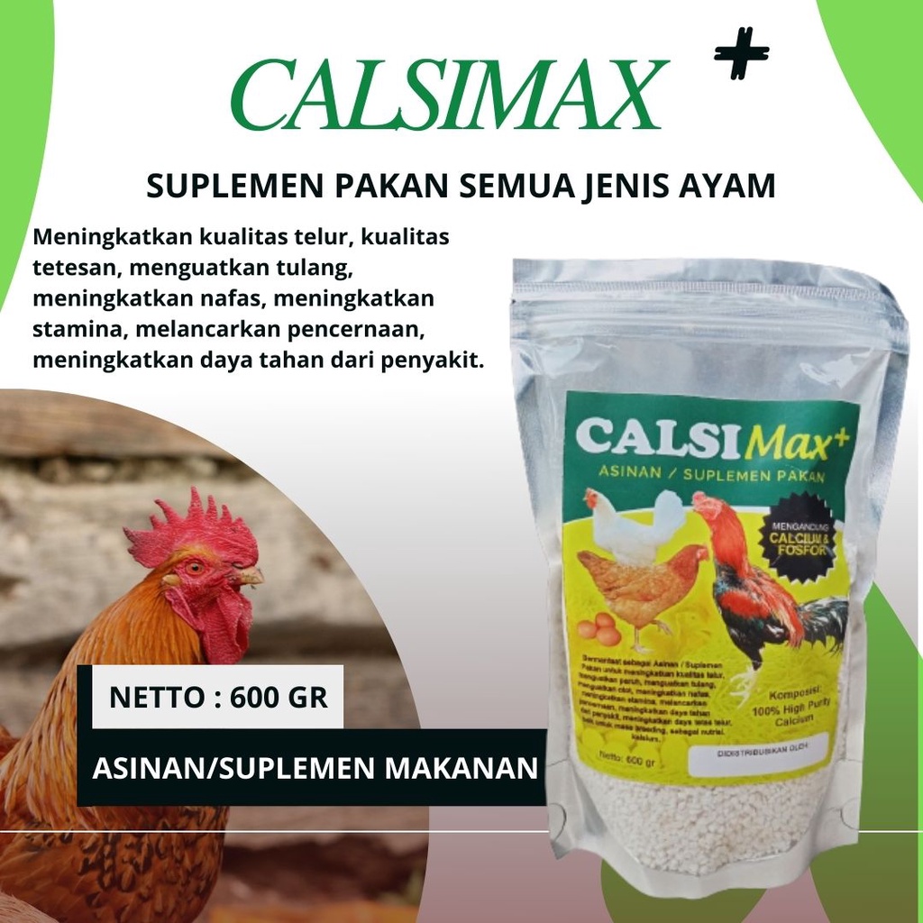High Calsium & Fosfor bangkok Meningkatkan daya tahan dari penyakit, Suplemen vitamin ayam Balenggek