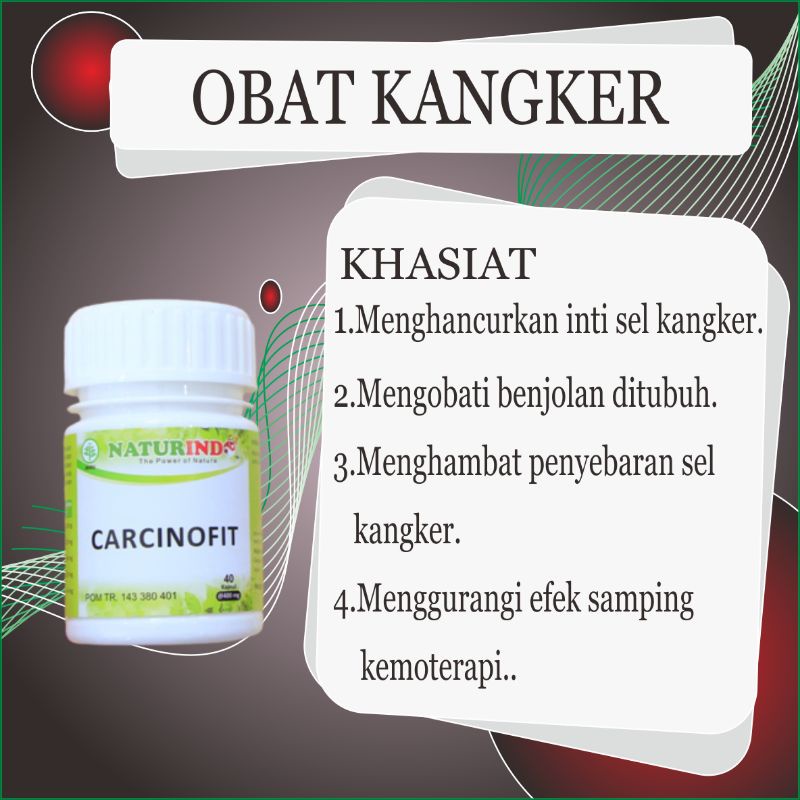 Obat kanker kangker payudara serviks usus otak tumor kulit jinak ganas ampuh Herbal de nature cina