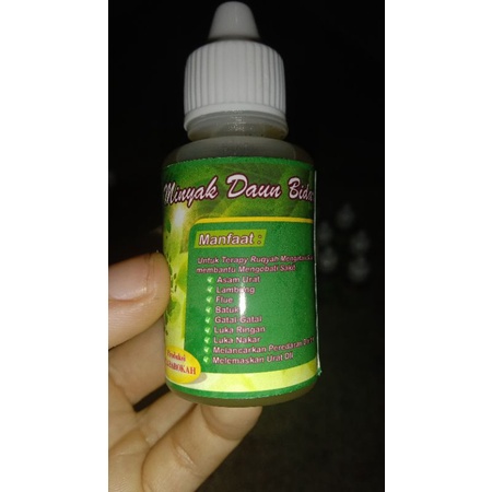 minyak daun bidara asli
