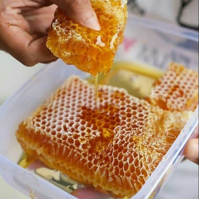 

Sarang madu Asli