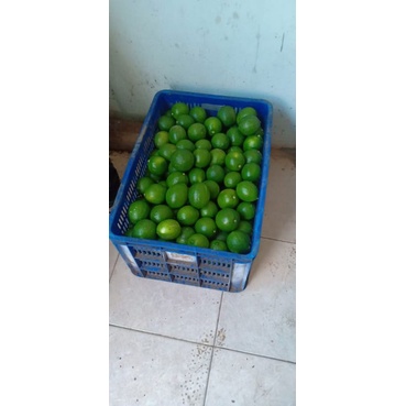 

JERUK LEMON CALIFORNIA 1KG FRESH