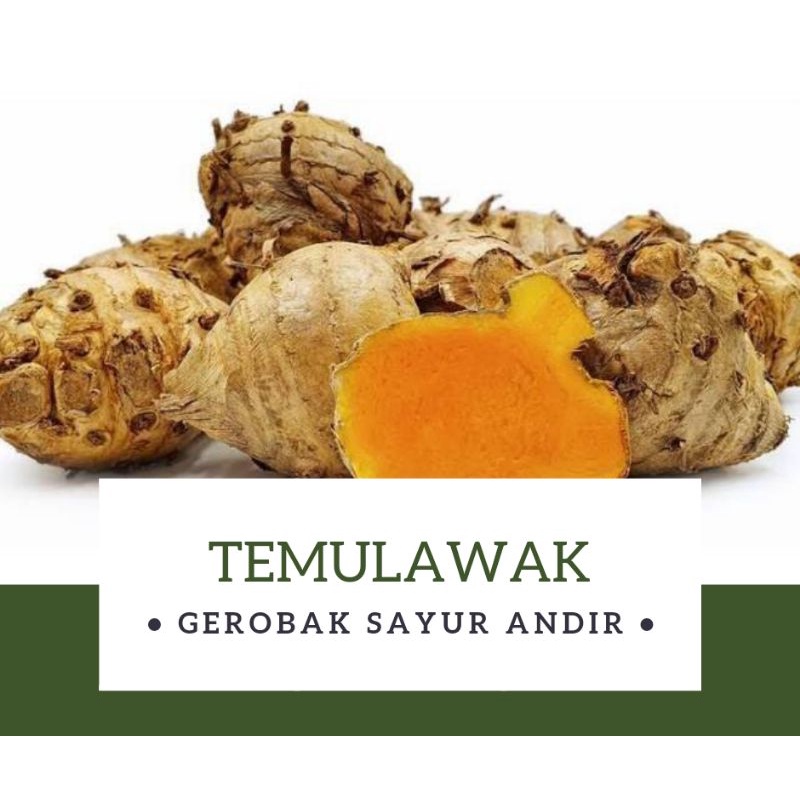 

Temulawak /500gr