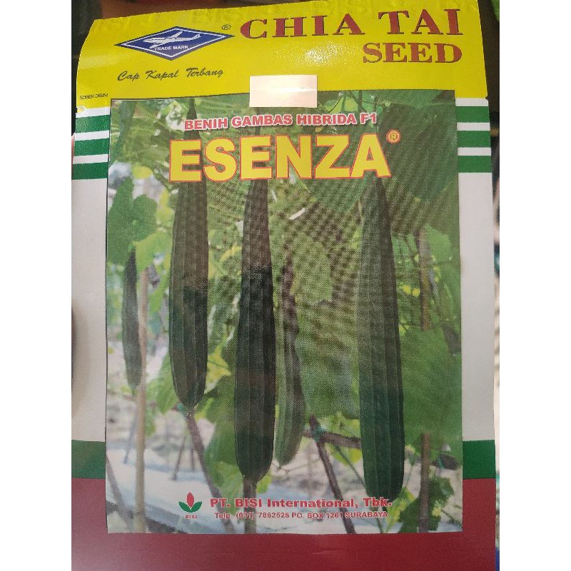 Benih Gambas esenza 10g