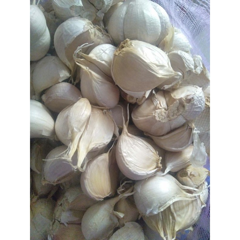 

BAWANG PUTIH KATING 500gr