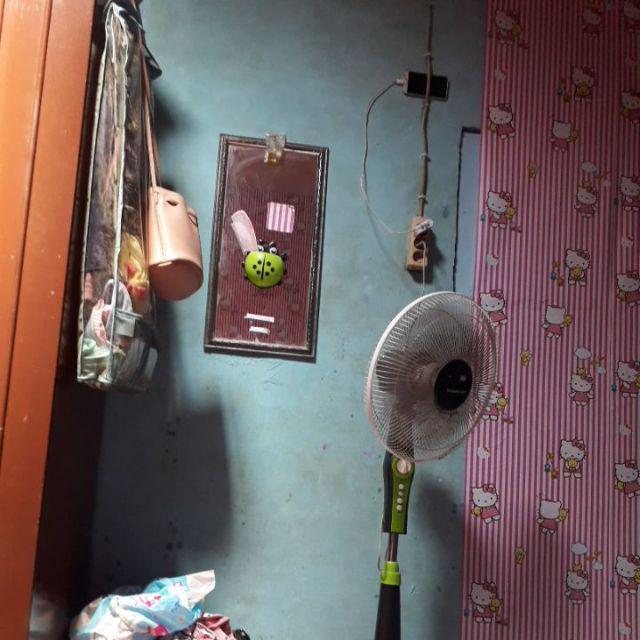 (stok Ready) Tempat Sabun Mandi Batang Lady Bug