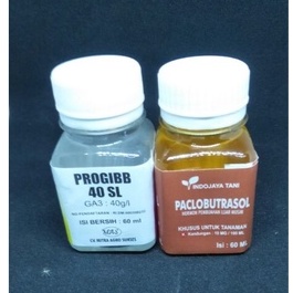 pupuk murah Paket Progib GA 3 Paclobutrasol