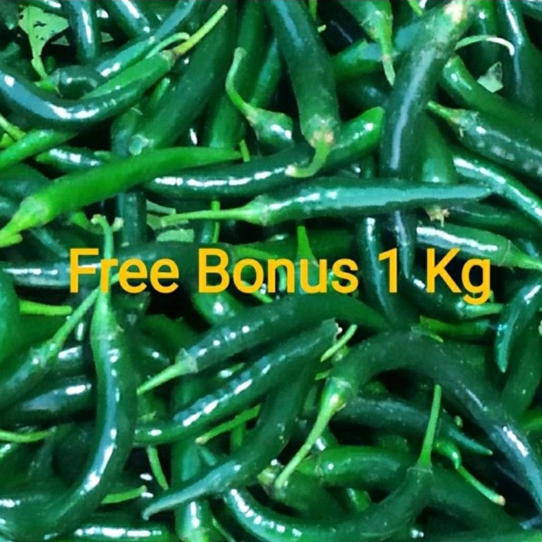 

Cabe Hijau besar uk ¼ kg + Gratis Bonus