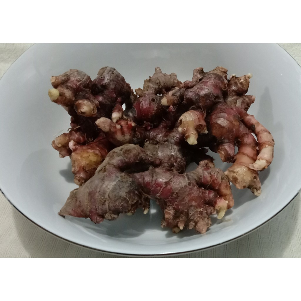 

Promo! Jahe merah super 1kg