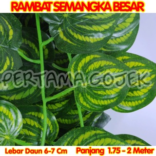  Daun  Plastik Daun  Dekorasi  Daun  Artificial Daun  Sintetis 