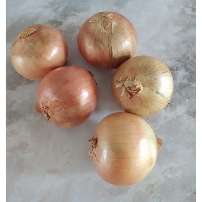 

NEW Bawang Bombay Bulat - 1 Kg