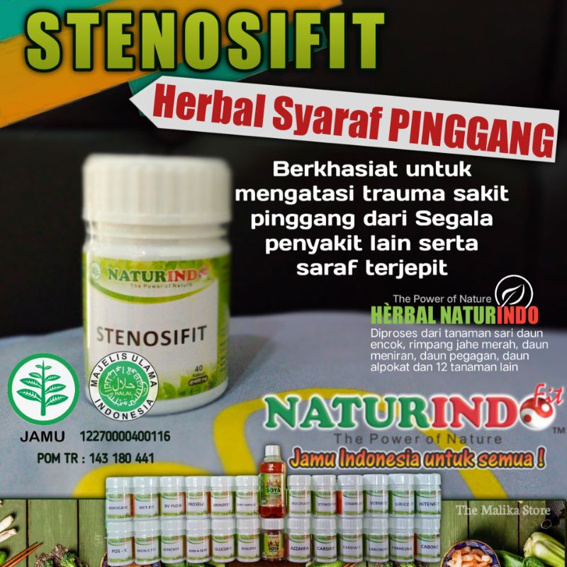 

Stenosifit Obat Herbal Syaraf Pinggang