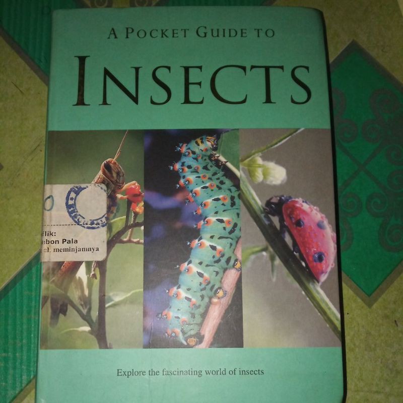 a pocket guide to insects