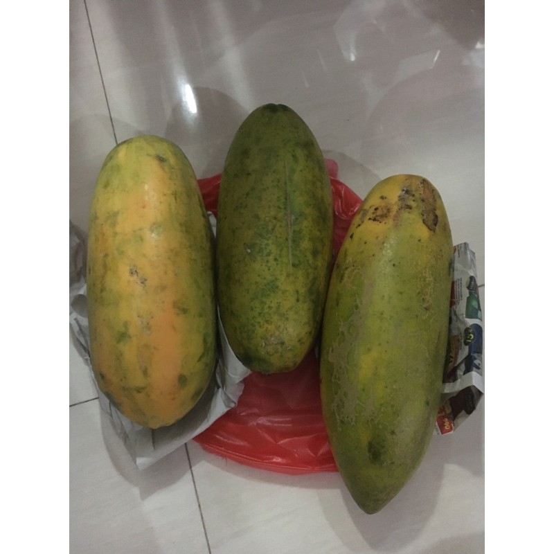 

pepaya california matang pohon 1 buah kisaran 900gram an