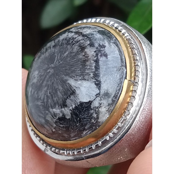 Batu Garut Gunung Jampang ( Batu Akik Fosil Kayu - bukan bacan giok kalimaya opal kecubung solar )