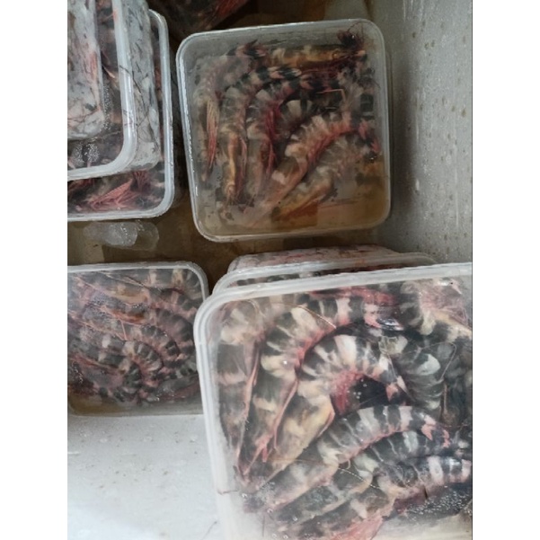 

udang windu 1kg