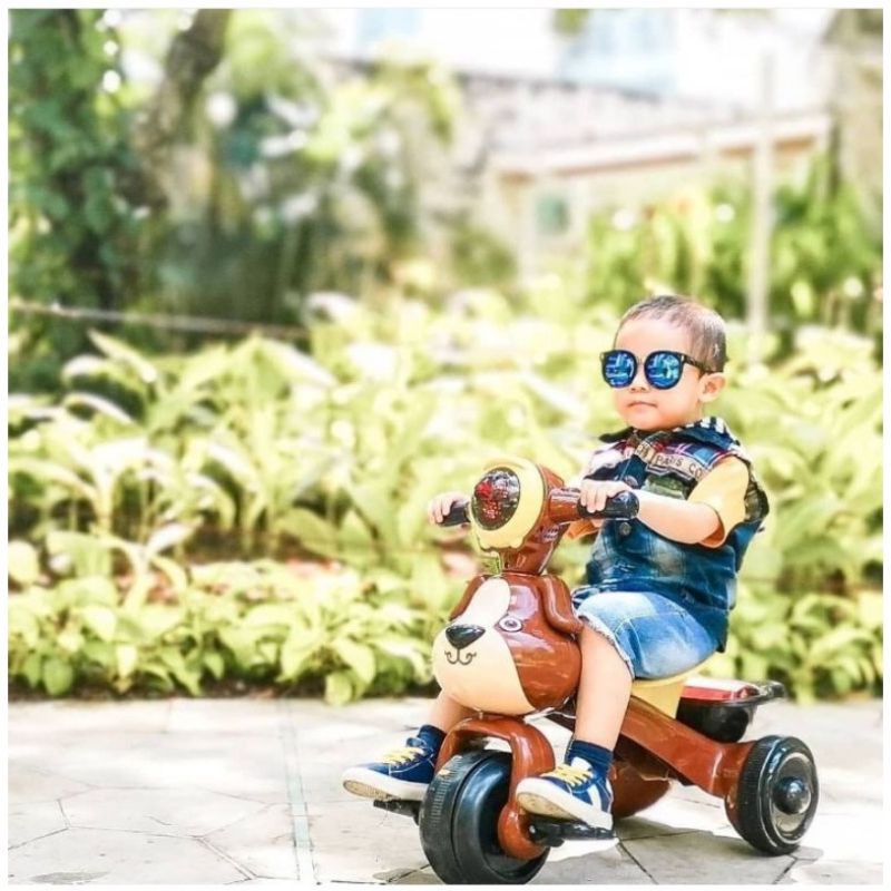 Jual sepeda anak aki | Shopee Indonesia