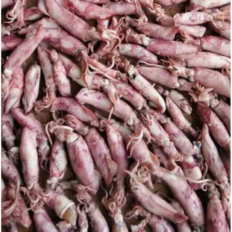 

Cumi Asin Kering / 250 gr