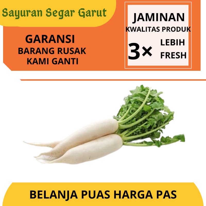 

Lobak Putih Super Segar Fresh Murah 500gr by Sayuran Segar Garut