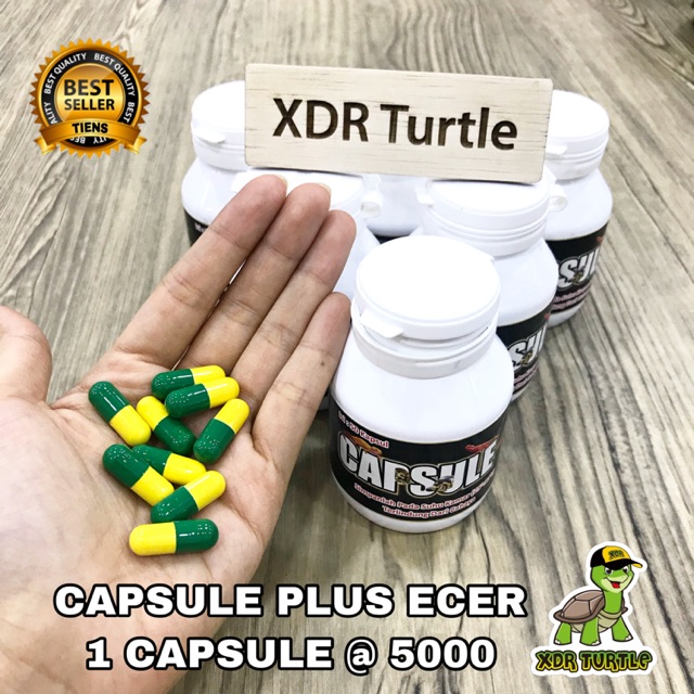 CAPSULE PLUS ECER OBAT TORTO REPTIL KURAKURA BRAZIL RES SULCATA LEMES STRESS KURA AIR DARAT