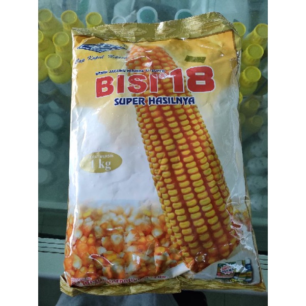 Bisi 18