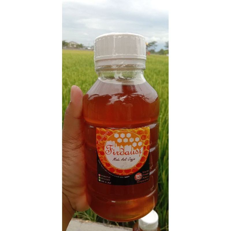 MADU ASLI / MADU HUTAN ASLI /MADU MURNI /MADU BERGARANSI