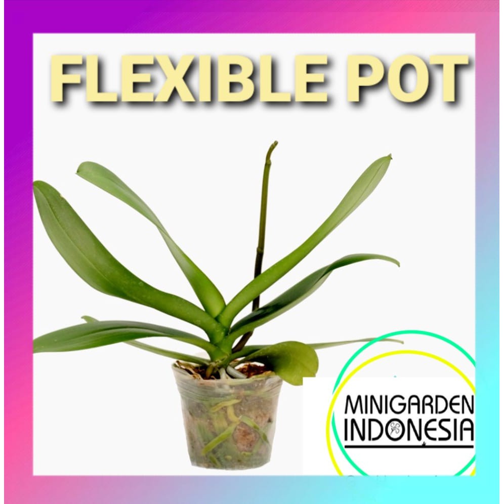 SOFTPOT FLEXIBLE POT 12CM seedling pot Media Tanam Bunga Anggrek Kaktus orchid fleksibel pot 3,5 inc