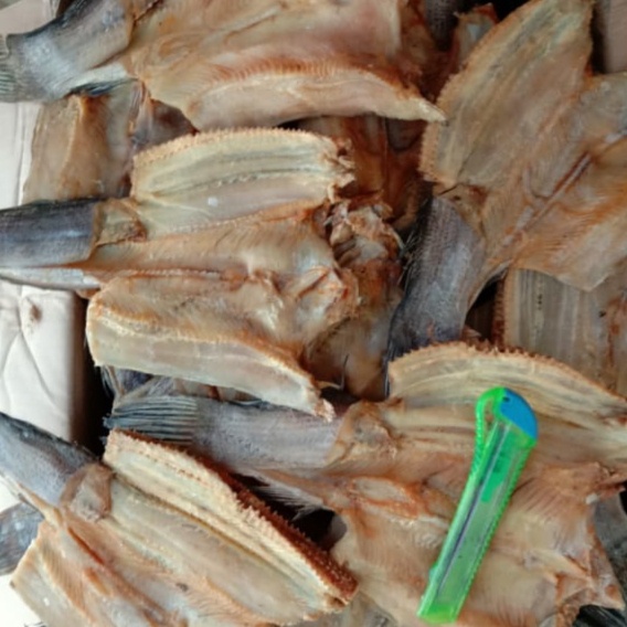 

vd201gf Ikan Asin Gabus Tanggung Tmk Per 250Gr Dscscv