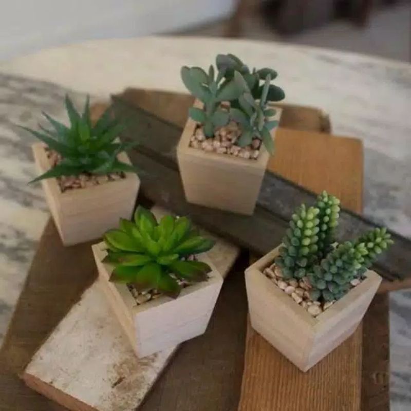 Pot kayu kotak mini