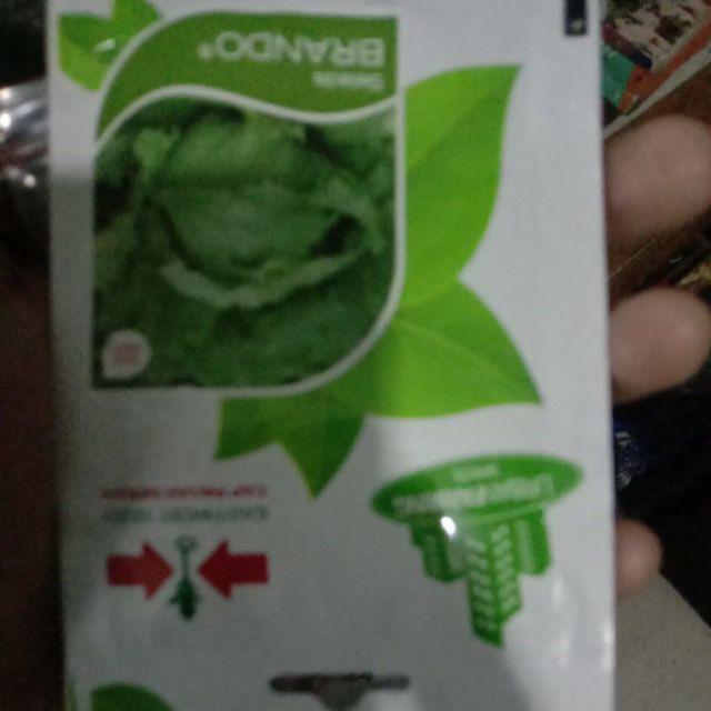 Isi 2000 Biji - Benih Selada Brando (cap Panah Merah)