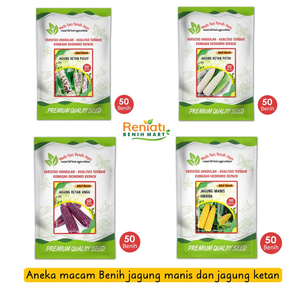 Aneka macam benih jagung manis F1 dan jagung ketan pulut  super / varian bibit jagung manis