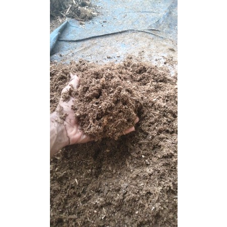 Humus bambu....Humus Akar Bambu 1kg Asli..