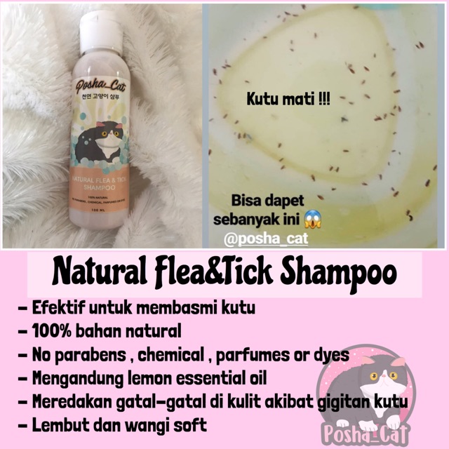 Paket hemat lengkap posha_cat (skincare kucing) perawatan kucing | grooming kucing