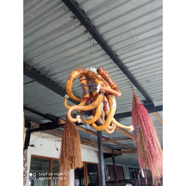 koteka papua oleh oleh khas dari papua