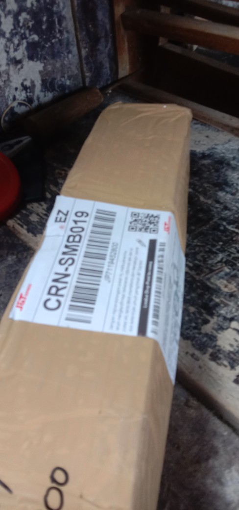 Bibit Beringin Kimeng Bahan Bonsai