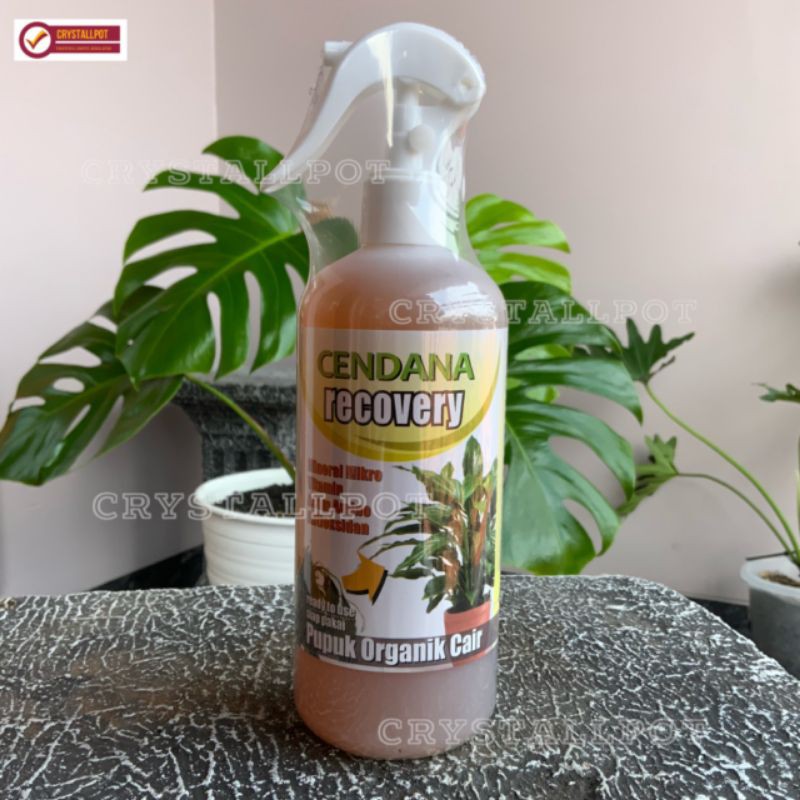 pupuk cair organik cendana recovery 500ml - pupuk anti stres tanaman