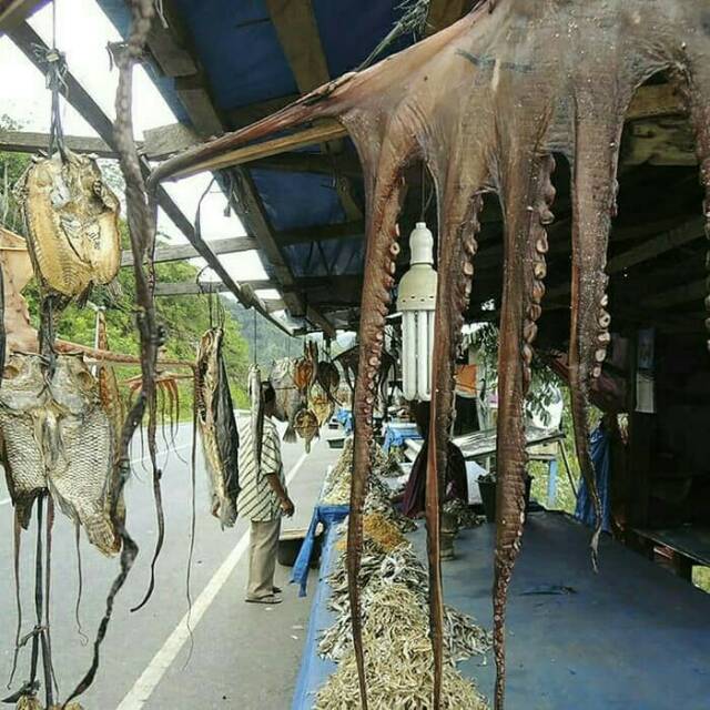 

Gurita Asin Aceh - Ikan Asin