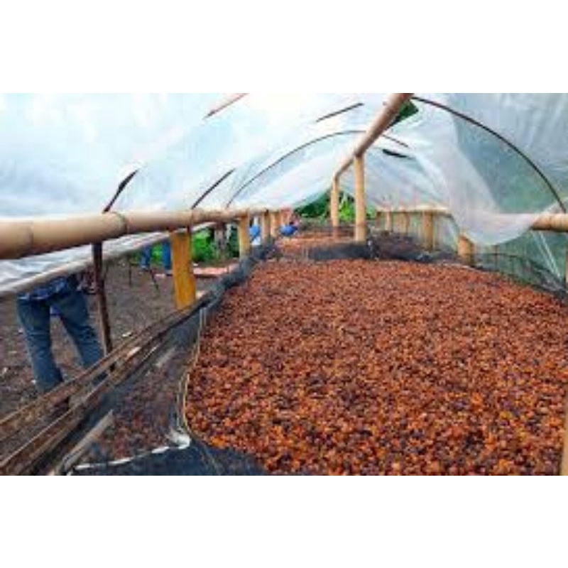 

Grosir Biji Kopi Jangkat Jambi