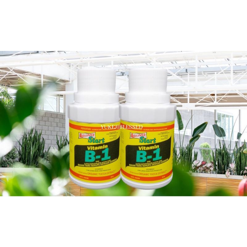 Pupuk Vitamin B1 Liquinox Vitamin Pupuk Cair Anti Stress Tanaman